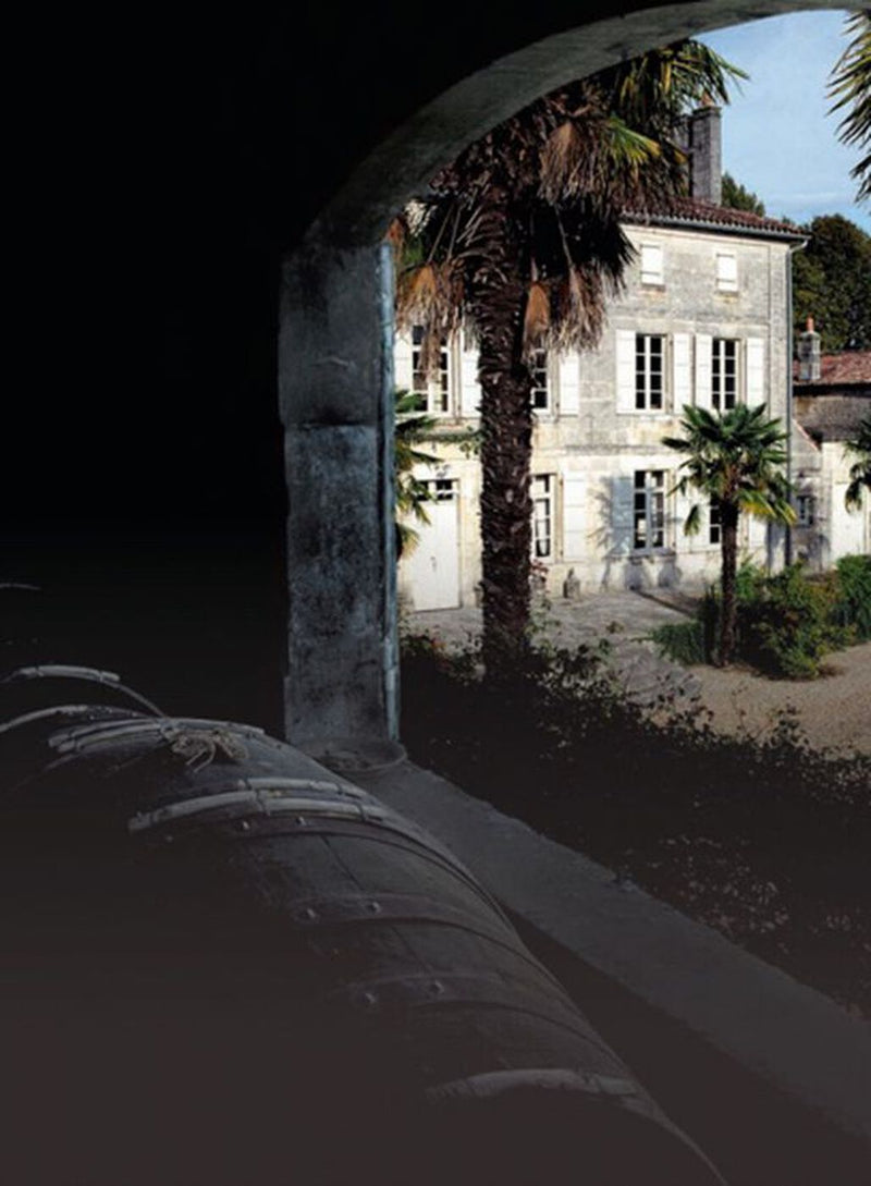 A photo of a white house taken from a cellar window, a barrel on the first plan