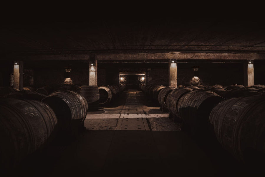 A lifestyle photo of a cellar full of barrels