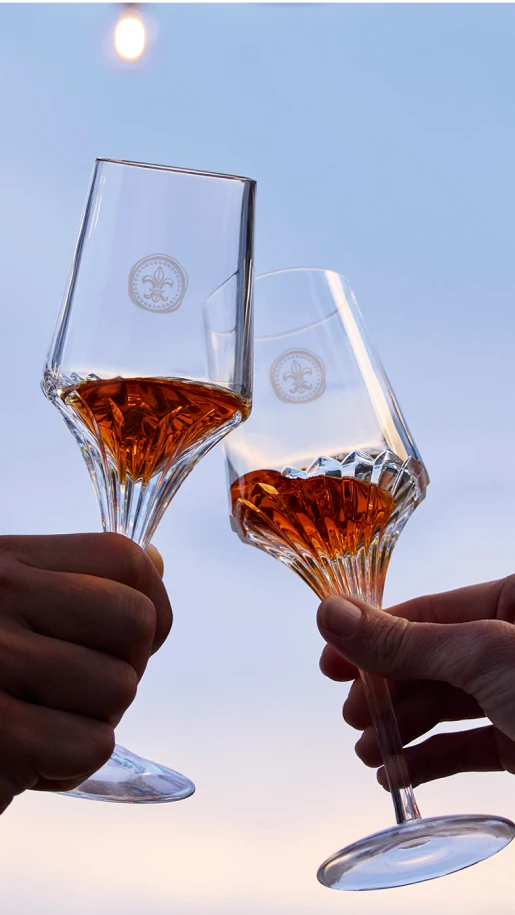 LOUIS XIII クリスタルボトル 空き瓶 【公式通販】