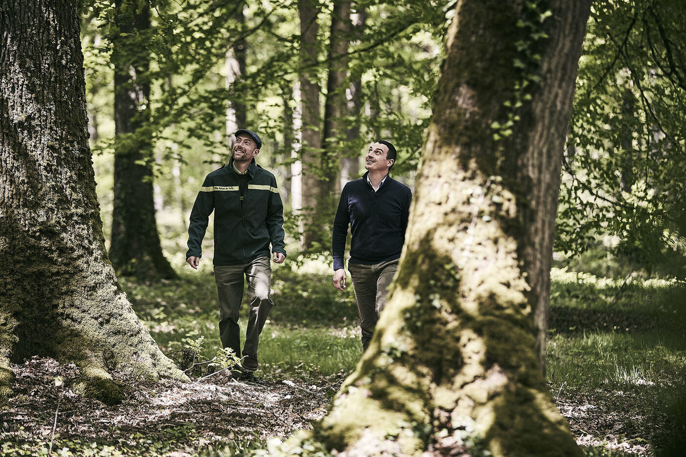 A lifestyle photo of two men walking in a sunny forest